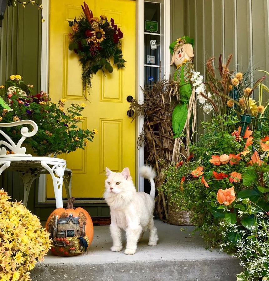 Yellow Door Bed And Breakfast Fort Erie Eksteriør bilde
